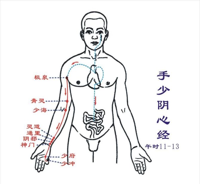 十二经络穴位图